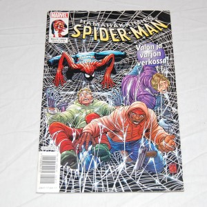 Hämähäkkimies 11 - 2004